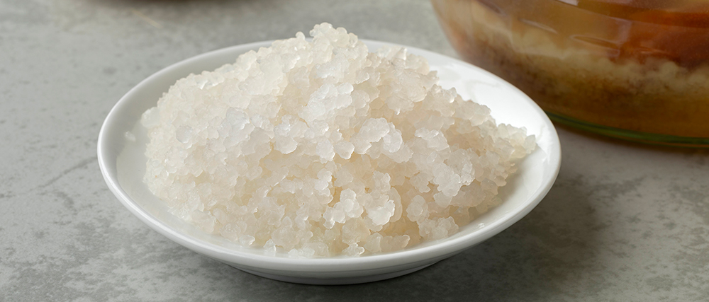 Grains de kefir grains de kefir dans une assiette blanche