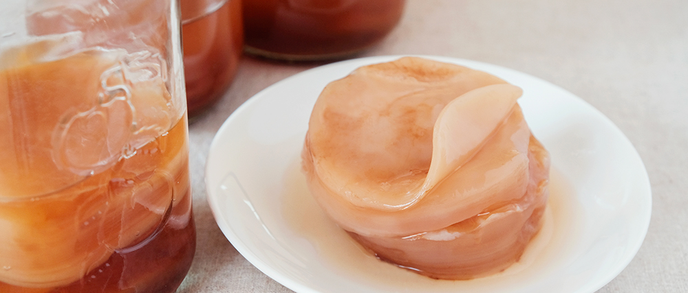 Kombucha scobi pour kombucha dans une assiette blanche